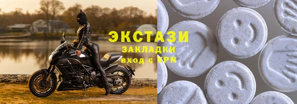 ECSTASY Богданович